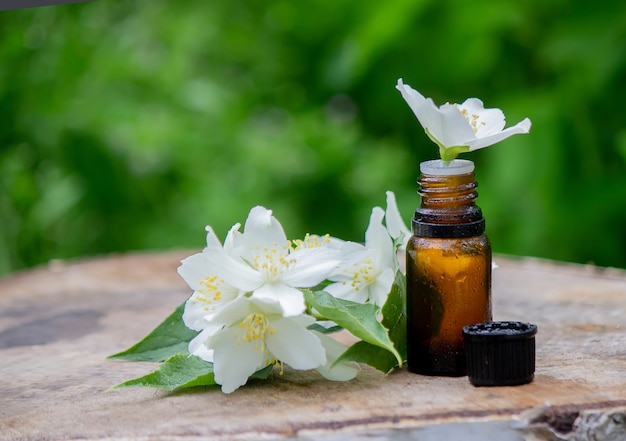 Olio essenziale e fiori di gelsomino su fondo in legno. Procedure cosmetiche. Messa a fuoco selettiva