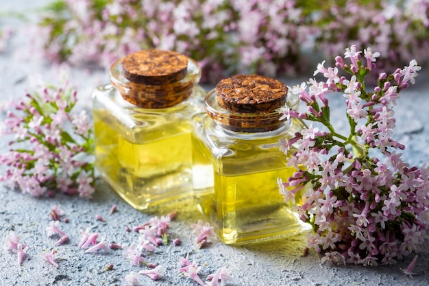 Olio essenziale in bottiglia con pianta di valeriana in fiore