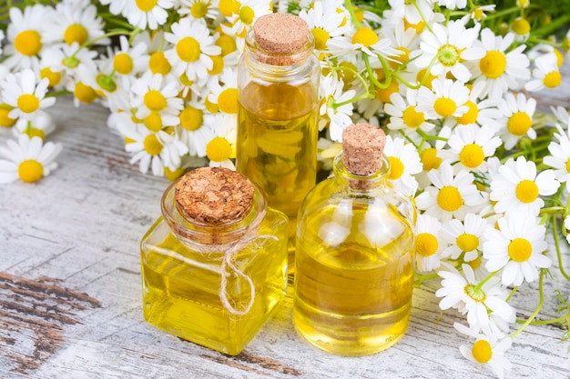 Olio essenziale in bottiglia di vetro con fiori di camomilla freschi, trattamento di bellezza.
