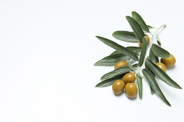 Olive e foglie di olivo su sfondo bianco spazio per il testo