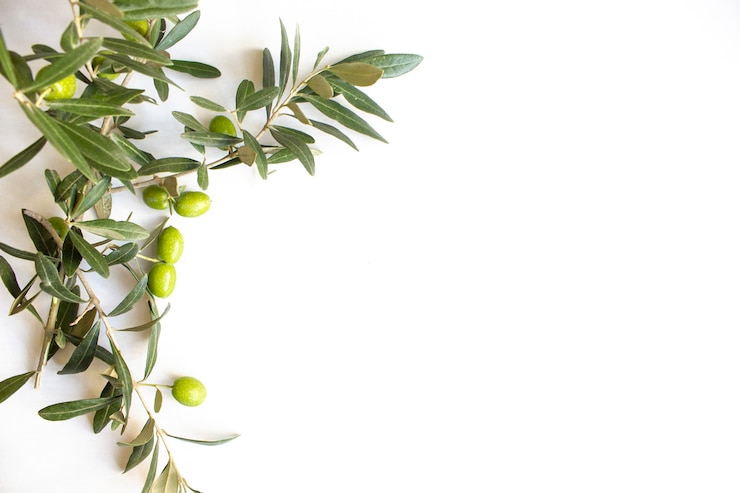 Olive verdi organiche fresche sul piatto bianco