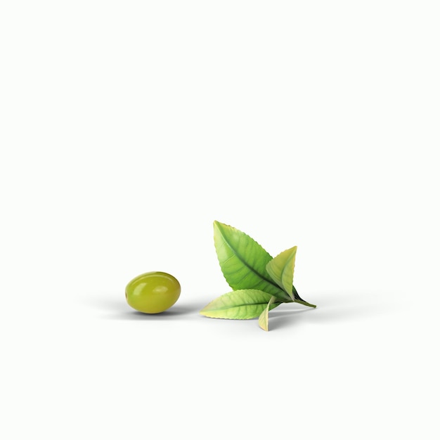 Olive verdi realistiche su un ramo isolato sfondo bianco illustrazione 3d adatta per il tuo progetto di design