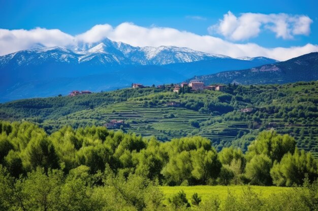 Oliveti di montagna vicino a un villaggio mediterraneo