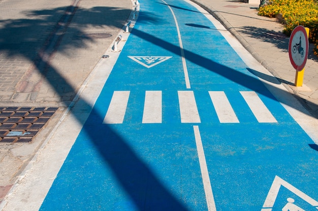 Ombra dalle palme sulla pista ciclabile. pista ciclabile.