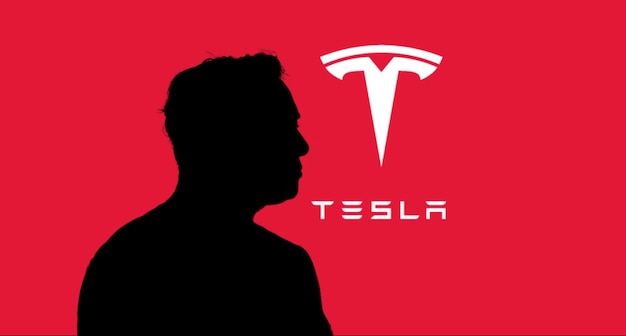 Ombra di Elon Musk con il logo di Tesla sfocato