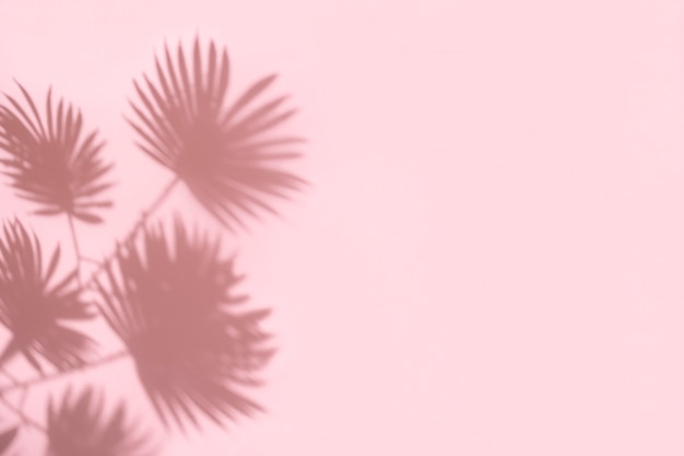 Ombra di foglia di palma su sfondo rosa pastello con copia spazio