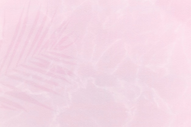 Ombra di foglia di palma su uno sfondo rosa chiaro
