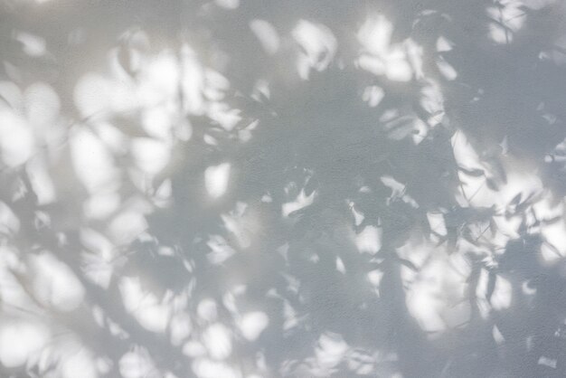 Ombra di foglie sul muro bianco. per il concetto di foto con effetto di sovrapposizione
