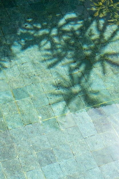 Ombra di foglie tropicali sulla superficie della piscina