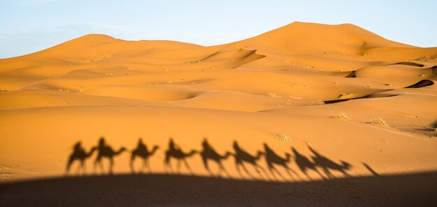 Ombra di turisti caravan dromedari a cavallo attraverso le dune di sabbia nel deserto del Sahara