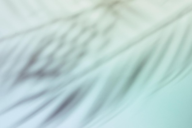 Ombra naturale di foglie di palma su carta sfumata Sfondo astratto blu e menta tropicale Luce soffusa