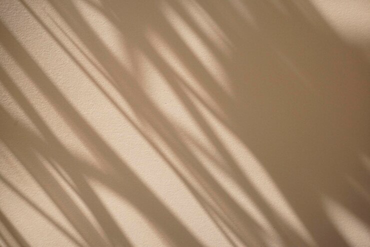 Ombra naturale sulla finestra sovrapposta su foglie secche beige minime pulite e colorate sullo sfondo della struttura