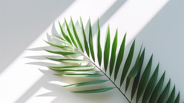 Ombre di foglie di palma su sfondo chiaro generate dall'intelligenza artificiale