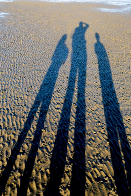 Ombre su una spiaggia