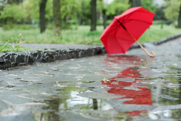 Ombrello aperto sul primo piano della strada della città Giorno di pioggia