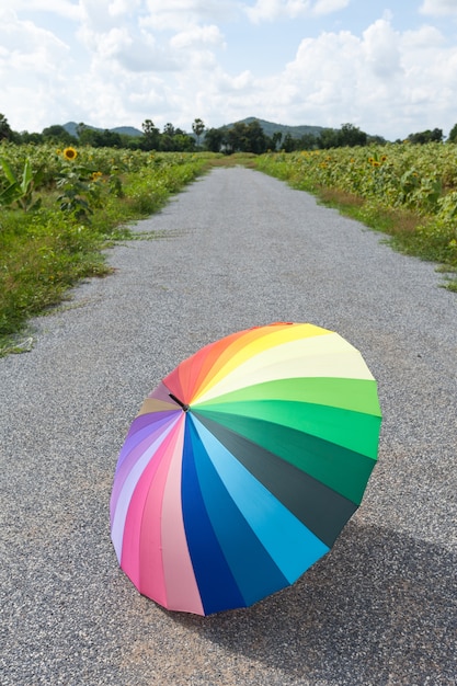 Ombrello multicolore sulla strada.