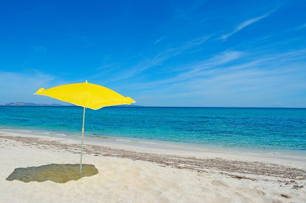 Ombrellone giallo in una spiaggia deserta