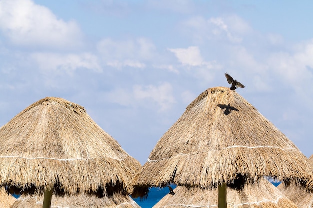 Ombrelloni sulle spiagge caraibiche.