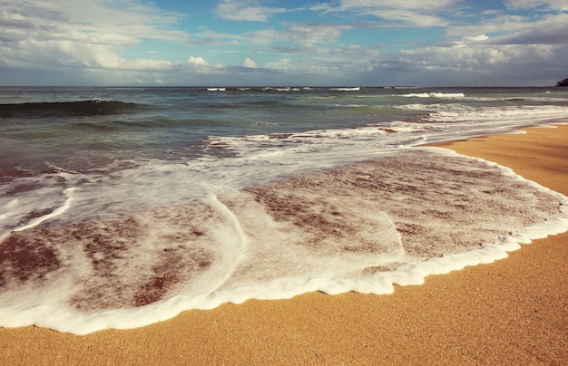 Onda blu sulla spiaggia. Sfocatura dello sfondo e macchie di luce solare. Sfondo naturale pacifico.