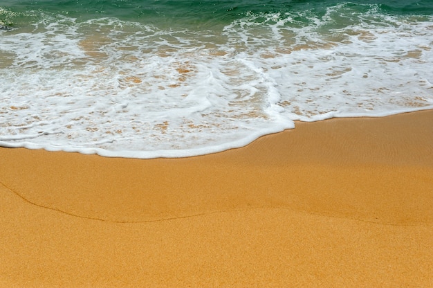 Onda dell'oceano sulla spiaggia di sabbia