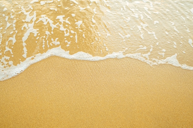 Onda dell'oceano sulla spiaggia sabbiosa.