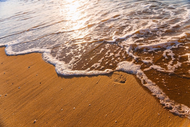 Onda della spiaggia e passi all'ora del tramonto