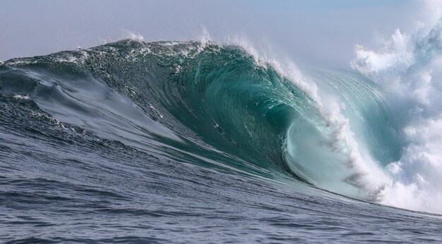 Ondate di surf e sfondo oceanico