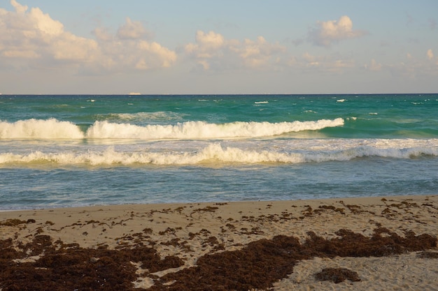 Onde con schiuma sulla costa caraibica del Messico