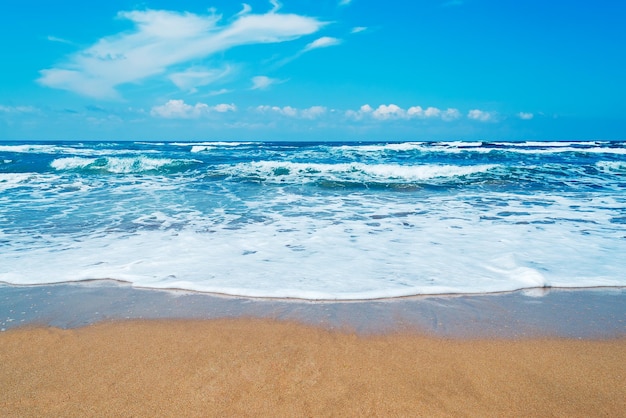 Onde da una costa dorata della Sardegna in una giornata nuvolosa