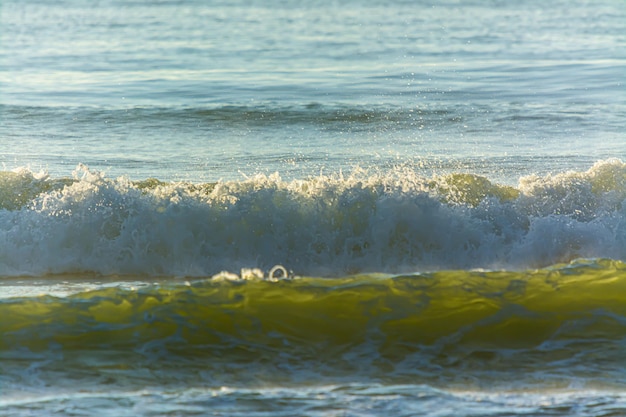 Onde del mare al mattino