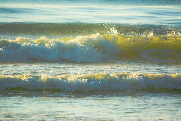 Onde del mare al mattino