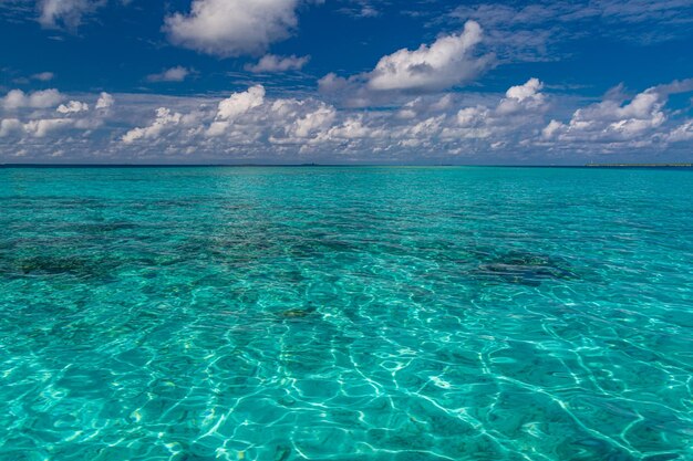 Onde del mare della spiaggia di sabbia del primo piano e cielo estivo blu. Panorama della spiaggia panoramica. Spiaggia tropicale vuota