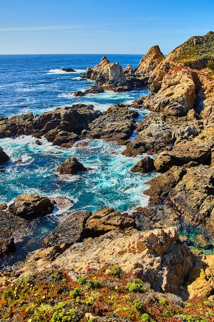 Onde dell'oceano che si infrangono sulla costa rocciosa con fiori primaverili