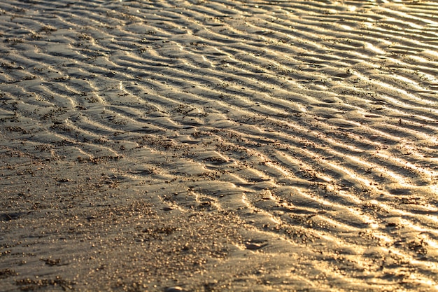 Onde di sabbia della spiaggia