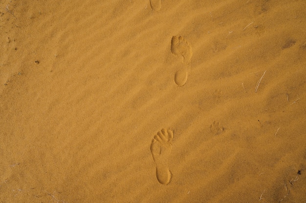 Onde e impronte nella sabbia nel primo piano del deserto