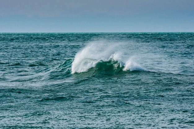 Onde nell'oceano Patagonia