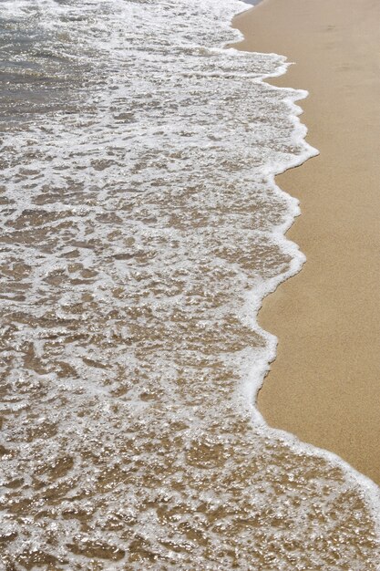 Onde spumose del mare su una spiaggia sabbiosa. Scatto dall'alto