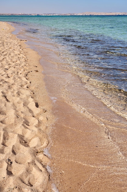 Onde sulla spiaggia sabbiosa tropicale del Mar Rosso