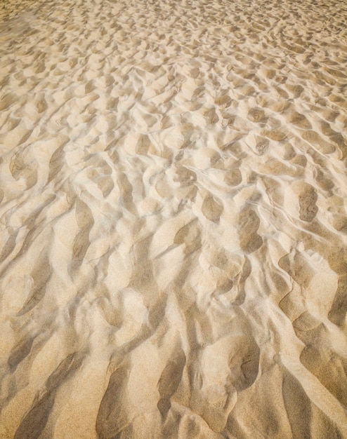 Ondulata struttura irregolare di sabbia sulla spiaggia sul mare, close up di soffice sabbia fine in riva al mare