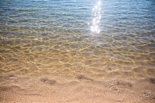 Ondulazioni sulla superficie del fondo del mare di sabbia limpida e calma acqua di mare blu pesci nella struttura della natura dell'acqua