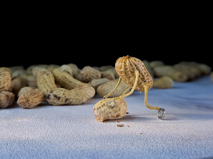 Open peanuts shot macro in the studio concept of a peanut scarecrow on the move