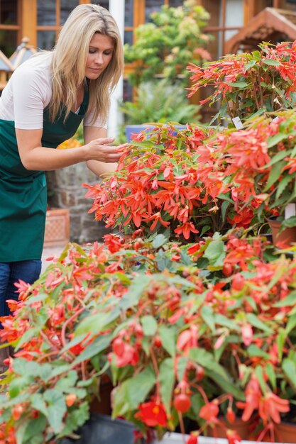 Operaio del Garden Center che controlla le piante