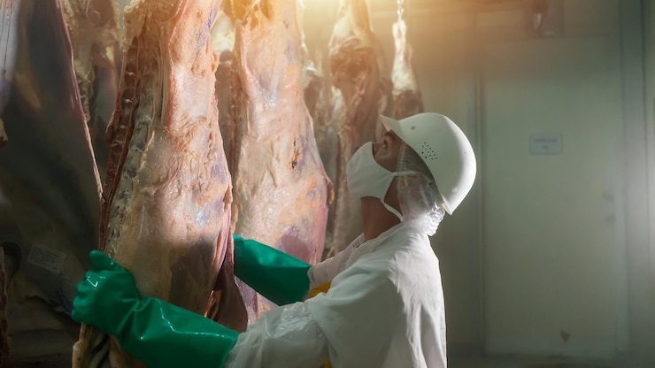 Operaio latinoamericano che immagazzina bestiame intero in un congelatore industriale