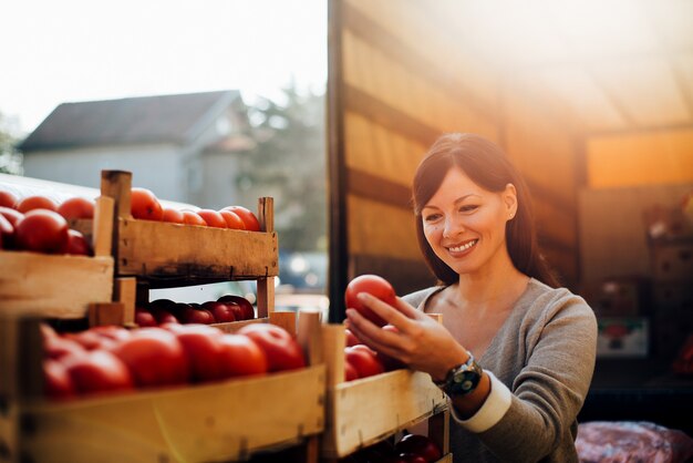 Operaio sorridente del controllo di qualità del ritratto che controlla i pomodori. Controllo di qualità.