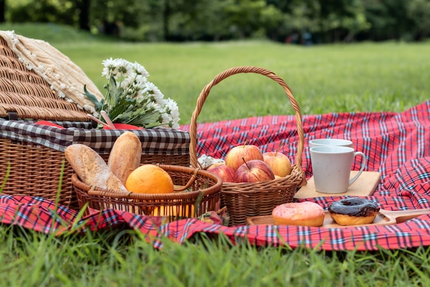 Ora legale Primo piano del cestino da picnic con cibo e frutta in natura.