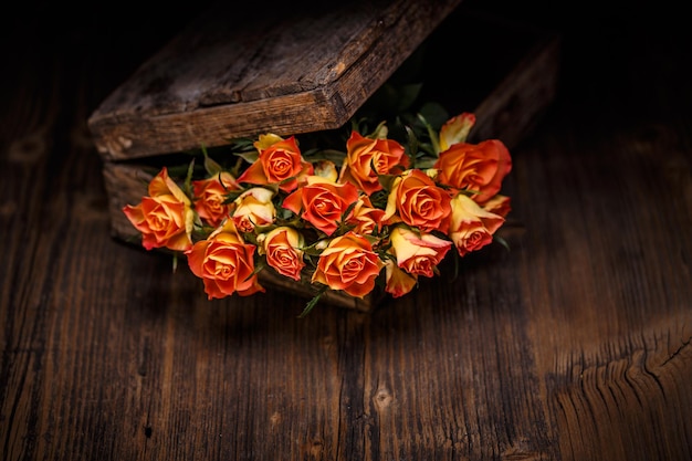 orange rose