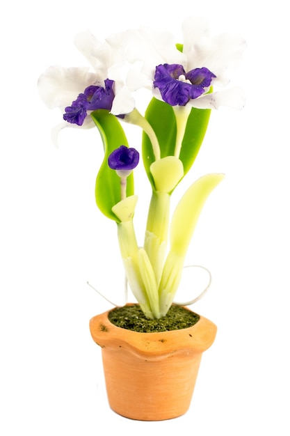 ORCHID Flower Plant in Pot Dollhouse Miniatures Garden isolare lo sfondo Tracciato di ritaglio