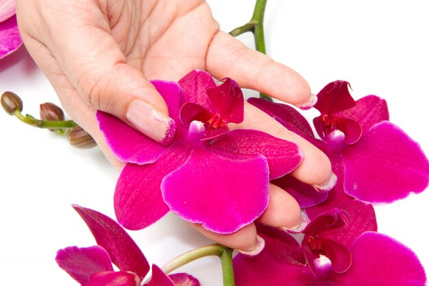 Orchidea con mano di donna