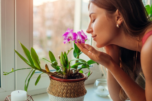 Orchidea odorante del dendrobium della donna sul davanzale della finestra. Casalinga che si prende cura delle piante e dei fiori domestici.