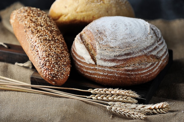 Orecchie di pane e grano su tela